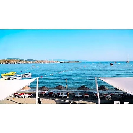 Cove 호텔