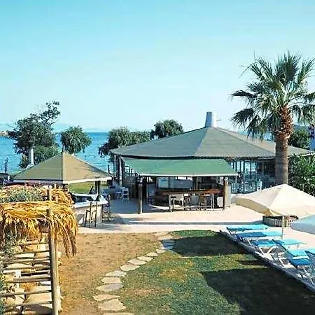 Cove 검벳