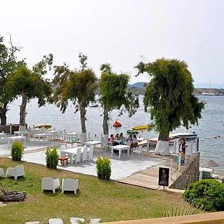 Cove 2*
