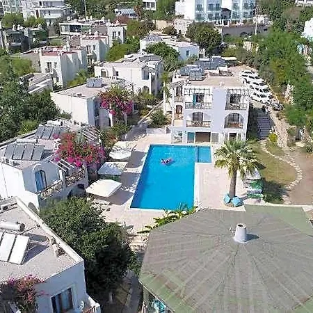 Cove 2*