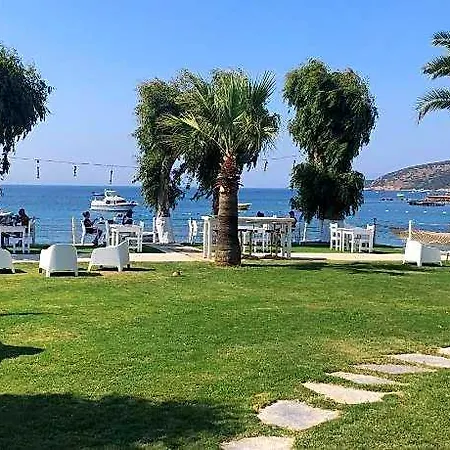 Cove 검벳